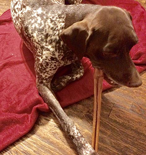 Sancho & Lola's 12-inch (1.5 LBS Deluxe Pack) Thick Bully Sticks for Dogs Made in USA Grain-Free Pizzle Chews (9-11 Count) - Thumbnail 5