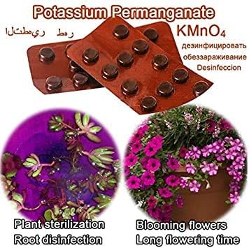Amazon Co Jp 24個過マンガン酸カリウムシートのkmno4盆栽植物の発根種子水族館ボディ殺菌ホームドクターイオン医薬品 ホーム キッチン