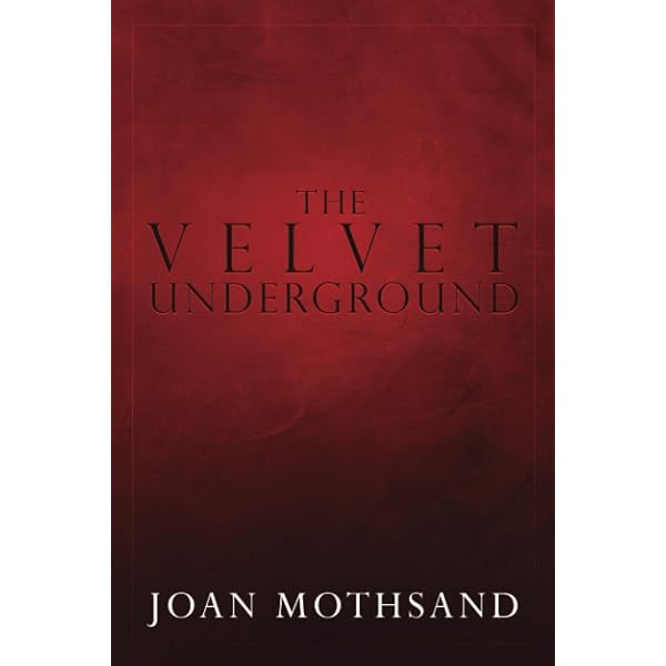 Amazon.com: The Velvet Underground: 9781871592283: Leigh, Michael