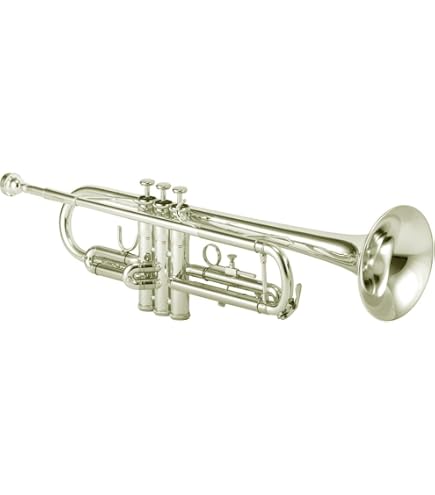 Amazon.com: KING Trumpet-Standard, Silver (2055T) : Musical