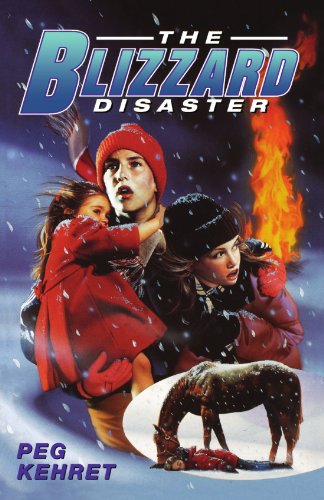 The BLIZZARD DISASTER
