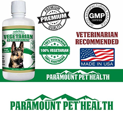 AllNatural Joint Pain Relief for Dogs Vegetarian Glucosamine Without