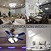 2-PACK 11W Dimmable LED A19 Bulb, 75W Incandescent Equivalent ENERGY STAR UL-listed Omnidirectional A19 Light Bulb, E26 Base 1100lm Coo White 5000K Daylight, 300 Degree Beam Angle for General Lighting