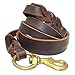 Beirui Braided Leather 6ft Dog Leash - 3/4 inch Heavy Duty Brown Training Lead