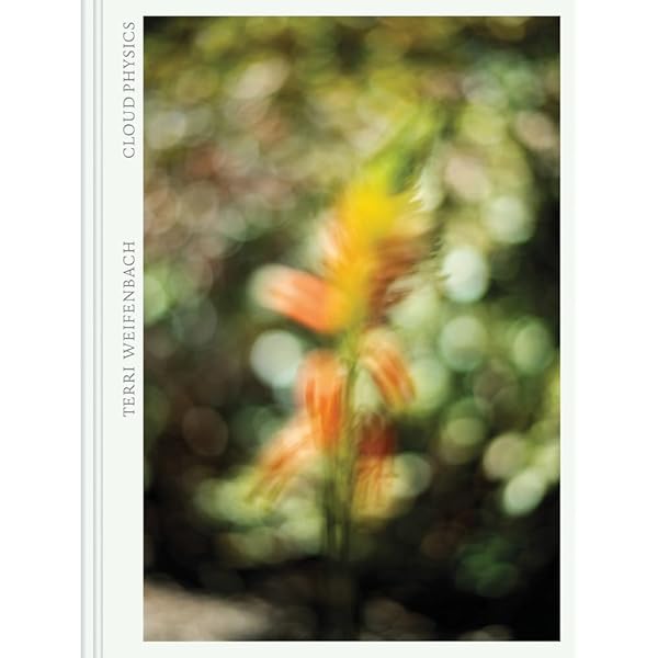 Des Oiseaux - Terri Weifenbach - version anglaise: Weifenbach