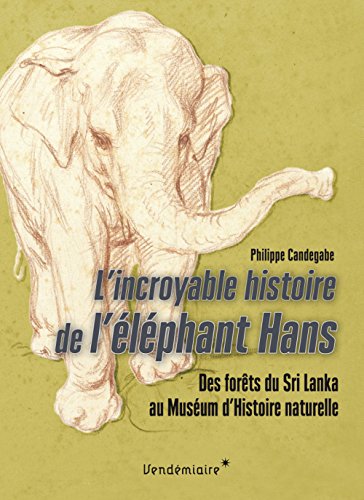 L' incroyable histoire de l'éléphant Hans