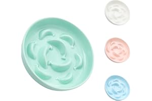 PTOBER Ceramic Slow Feeder Bowl - Pastel Series - Cute Maze Cat Food Plate - Fun Puzzle Feeder - Dishwasher Safe - 6.3''W x 1.2''H - 7 OZ - Mint Green