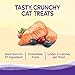 Wellness Kittles Crunchy Natural Grain Free Cat Treats, Salmon & Cranberries Recipe, All Life Stages, 6-Ounce Bag