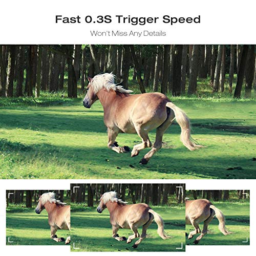 4 TOGUARD+Detection+Activated+Waterproof+Wildlife