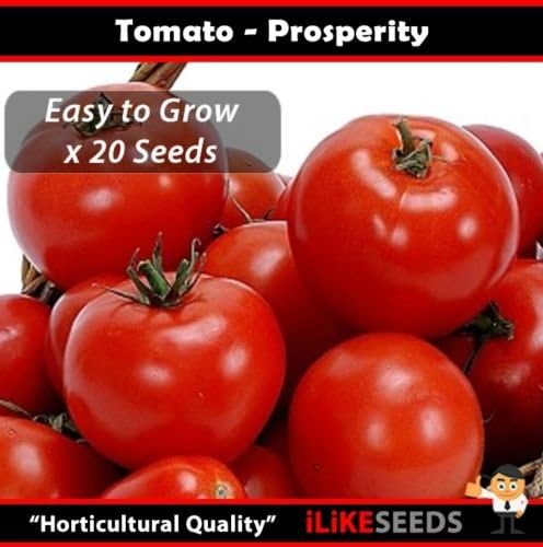 Tomate HERENCIA