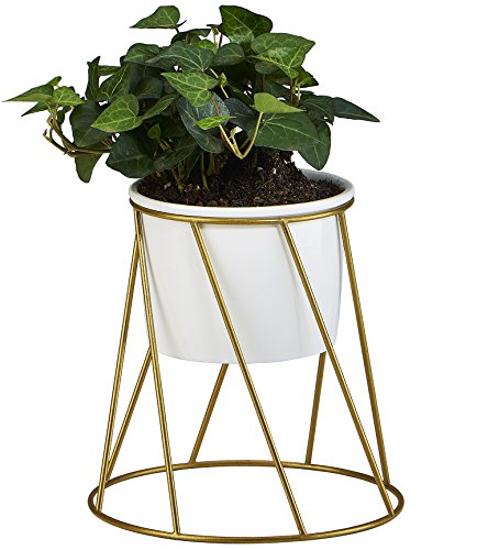 Planter Pot Indoor, Flowerplus 4.33 Inch White Ceramic Medium Succulent Cactus Flower Plant Round Bowl with Iron Rack Holder and Plants Sign for Indoors Outdoor Home Garden Kitchen Decor (Golden)