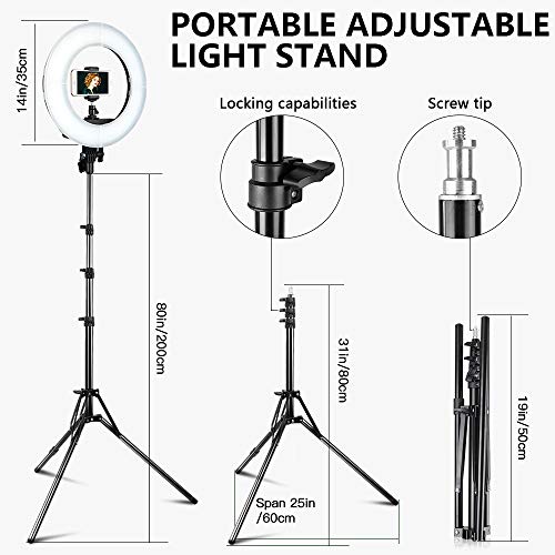 4 Dimmable+Adjustable+Lighting+Bluetooth+Carrying
