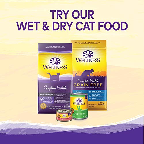 Wellness Kittles Crunchy Natural Grain Free Cat Treats, Salmon