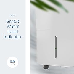 hOmeLabs 4000 Sq. Ft. Dehumidifier with Pump