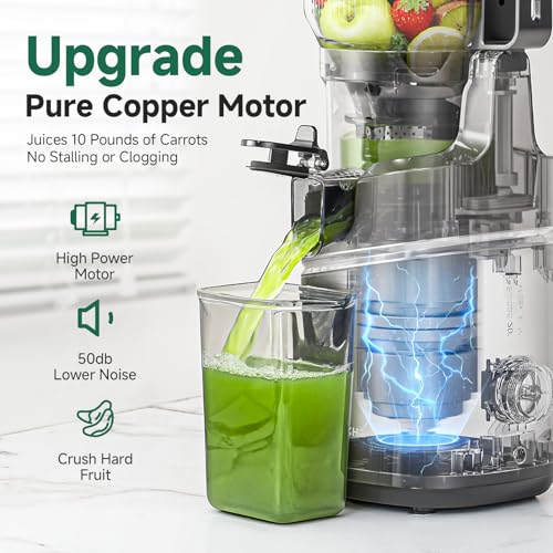 AMZCHEF Cold Press Juicer with 165mm Large Feed Chute, Slow Masticating Juicer for Whole Fruits & Vegetables, Triple Filter, Copper Motor, High Juice Yield, Easy to Clean, Grey
