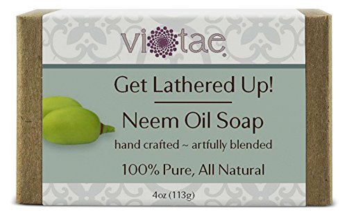 Vi-Tae 100% Natural and Organic Handmade 'Get Lathered Up' 4oz Soap Bars (Neem)