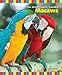 Macaws (The Birdkeepers' Guides)
