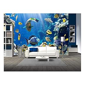 Photo of a Tropical Fish on a Coral Reef - Removable Wall Mural | Self-Adhesive Large Wallpaper - 66x96 inches