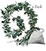 Artificial Eucalyptus Garland 2pack - 6.1 FT Faux Silver Dollar Green & Seeded Greenery Garlands - Silk Eucalyptus Leaves, Vines For Wedding Backdrop - Fake Party Décor