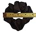 Satin Hair Scrunchies (4 Pack) (black)