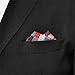 Shlax&Wing Checked Gray Grey Silver Red Crimson Handkerchief Mens Ties