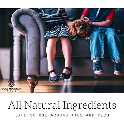 Most Effective All Natural Shoe Deodorizer Spray and Foot Odor Eliminator - Extra Strength that Destroys Odor from Stinky Shoes,4 oz