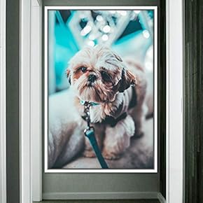 signwin Framed Canvas Wall Art Pupper Animals Chic...