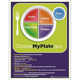 Amazon Com Nasco Fort Atkinson Myplate Tear Pad With Food Group