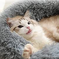 Abenxxou Donut Pour Chat Chien Corbeilles De Chat Lit Chaud De Moelleux Pour Animaux Coussins Lavable Pour Chien Chat Panier Rond Matelas Pour Chiot