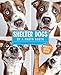 Shelter Dogs in a Photo Booth by Guinnevere Shuster