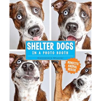Shelter Dogs in a Photo Booth Shelter Dogs in a Photo Booth