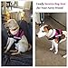 FAYOGOO Dog Service Vest Harness, Pink, XXS to XXL, Reflective Stitching, Soft Padding, Buckle Closure