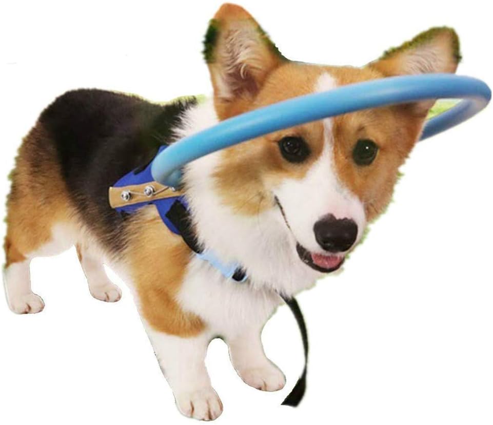 dog chest protection vest