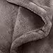 Amazon Brand – Pinzon Velvet Plush Blanket - King, Grey