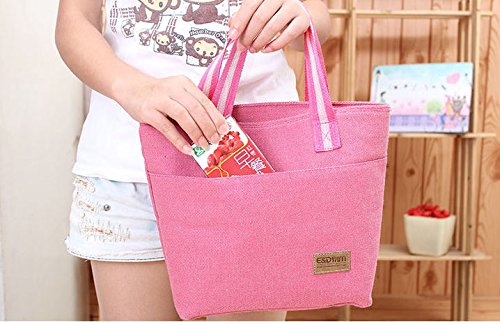 Ecokaki(TM) Canvas Lunch Bag Tote Insulated Cooler Travel Picnic Box Storage Bag Lunch Kit, Beige-Small