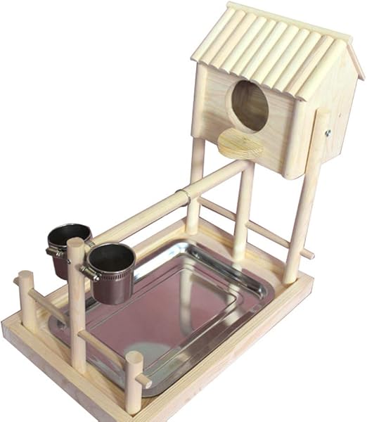 budgie activity centre