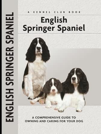 kennel club springer spaniel
