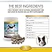 Chewable Omega 3 Salmon Oil Supplement for dogs-120 Gluten Free Wild Alaskan Fish Oil Bites for Youthful Skin & Coat, Heart Healthy EPA/DHA, Boost Immune System & Metabolism, Anti Inflammatory