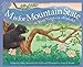 M is for Mountain State: A West Virginia Alphabet (Discover America State by State)