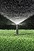 Rain Bird 12DSF Dual Spray Nozzle, 360° Full Circle Pattern, 9' - 12' Spray Distance