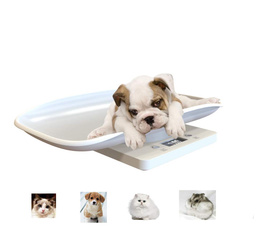 AGDLLYD Pet Scales,Digital Pet Scale,Pet electronic scales for dogs,cats,puppies,birds and small animals up to 10 Kg,2xAAA battery（Not included）
