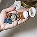 Beverly Oaks Premium Healing Crystals 21 Piece Kit - 7 Tumbled Chakra Stones, 7 Raw Crystals, Peacock Ore, Crystal Geode, Pyrite, Honey Calcite, Aragonite, Selenite Stone + Bonus Chakra Tower