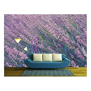 Closeup of Lavender Flowers Field - Removable Wall Mural | Self-Adhesive Large Wallpaper - 66x96 inches