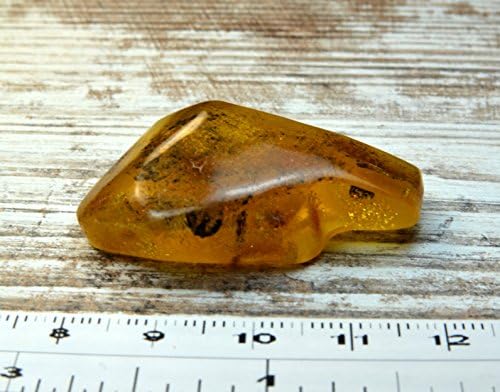 6.9 g Natural POLISHED Genuine Baltic Amber Stone Great for Making Brooch, Necklace, Pendant or Just Having It BBS230