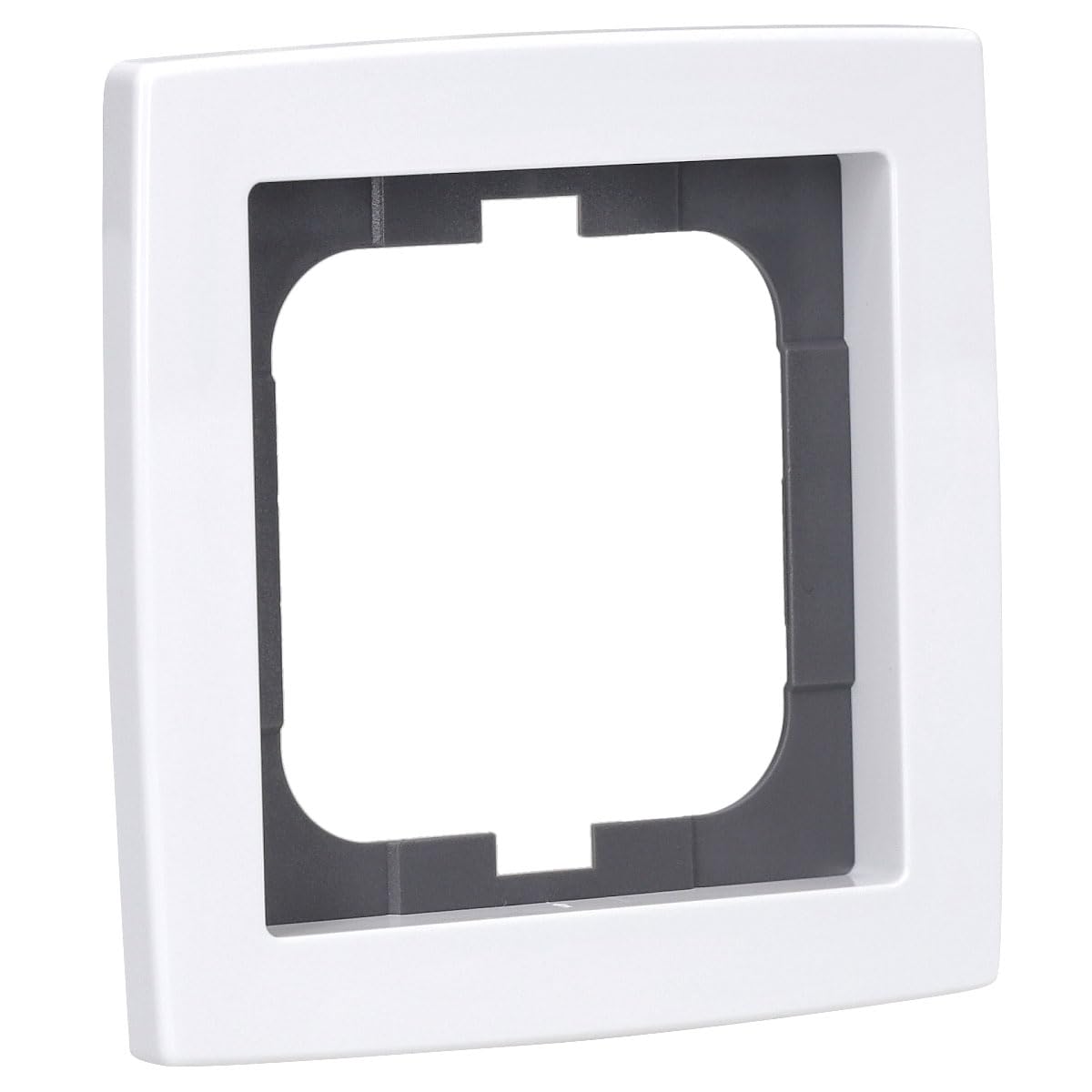 Busch-Jaeger 1721-84 Single Socket Frame