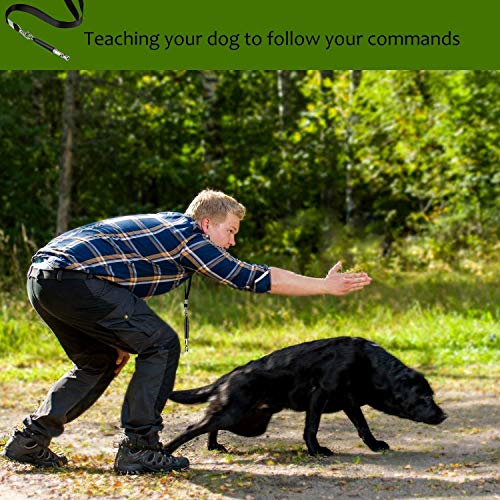 Mumu Sugar Dog Whistle to Stop Barking, Adjustable Pitch Ultrasonic Training Tool Silent Bark Control for Dogs- Pack of 2 PCS Whistles with 2 Free Lanyard Strap