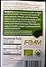 USDA Organic White Mulberry Leaf Tea (60 Teabags) | Blood Sugar Controller | Convenient Tea Bags | Leaves Can Help Fight Cholesterol | Controls Sugar Levels | Caffeine Free | Helps with Weight Loss