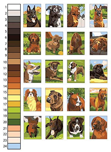 Creative Haven Dogs Color by Number Coloring Book (Creative Haven