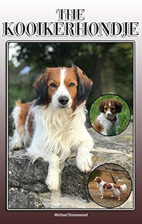 kooikerhondje cost