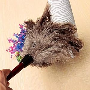 XKMY Stofborstel Anti-statische Struisvogel Veer Bont Houten Handvat Borstel Stofzuiger Stof Reiniging Tool…